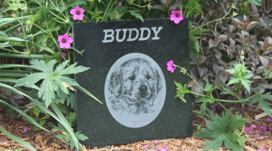 Stone Engraved Pet Memorials